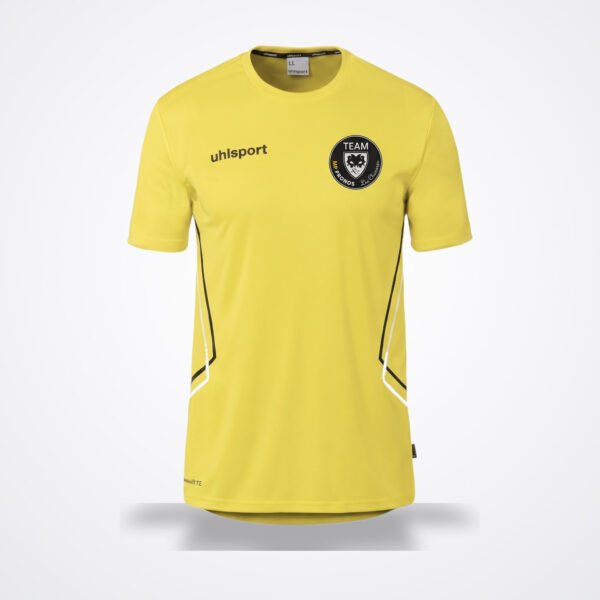 Maillot Equipe 29